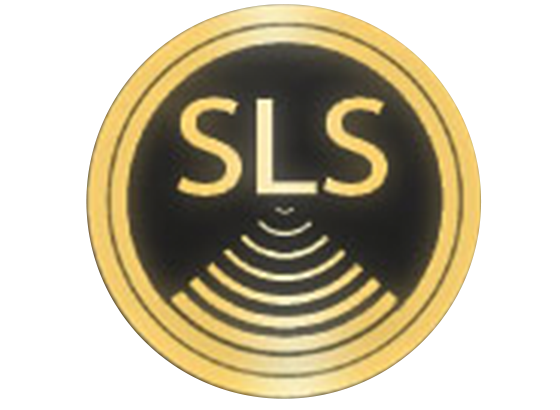 Speech Level Singing